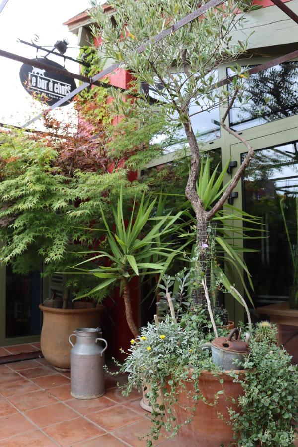Grand Loft De Charme, Place Du Village A Thuir Εξωτερικό φωτογραφία
